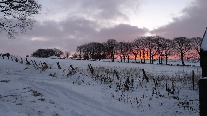 returnimage.cgi/10499/700