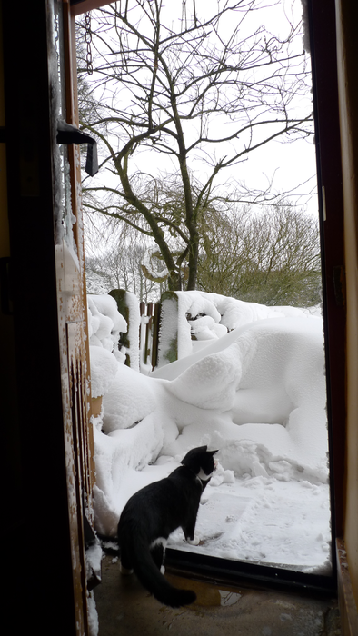 returnimage.cgi/10500/700