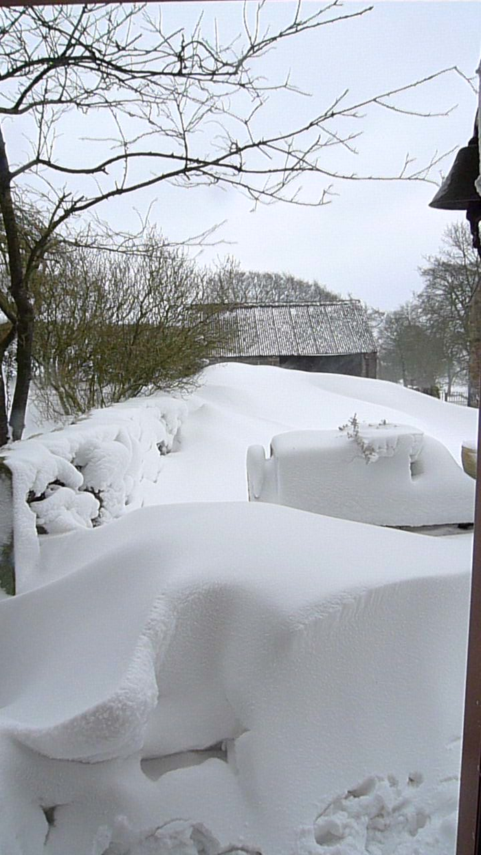 returnimage.cgi/10501/700