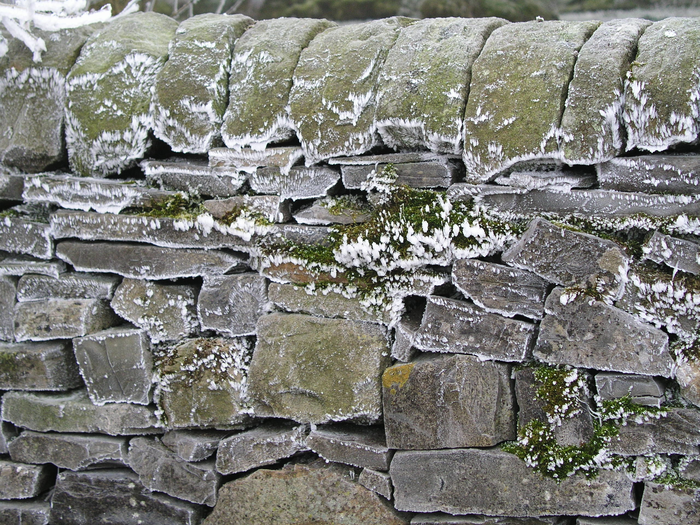 returnimage.cgi/10502/700