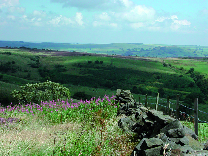 returnimage.cgi/10506/700