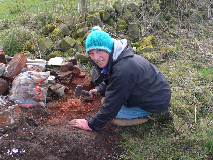 returnimage.cgi/10519/700