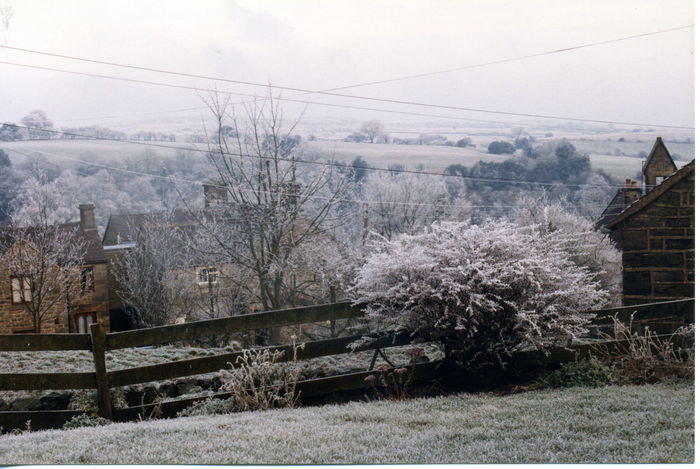 returnimage.cgi/10534/700