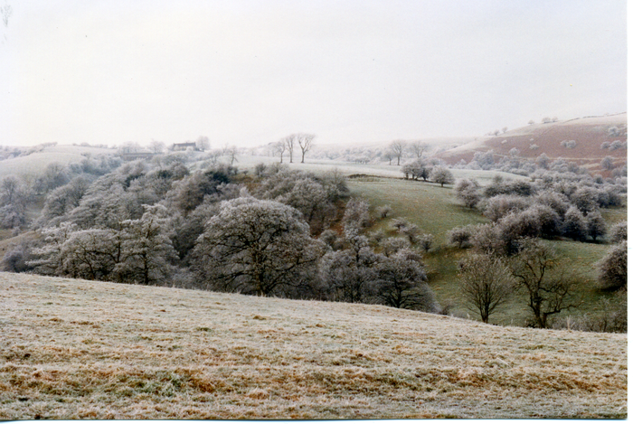 returnimage.cgi/10535/700