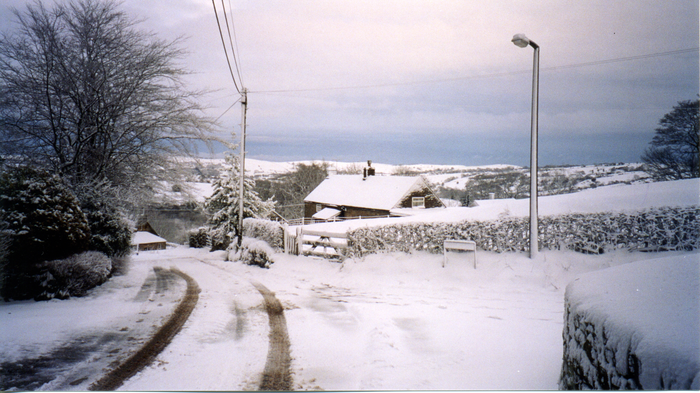 returnimage.cgi/10537/700