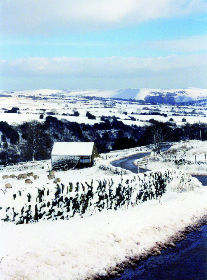 returnimage.cgi/10539/700