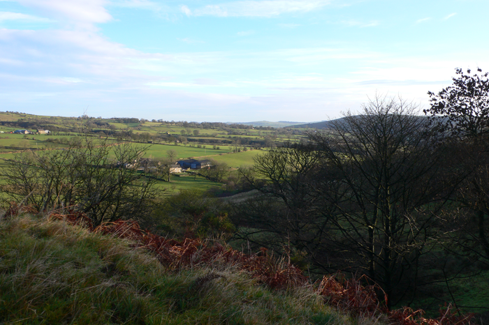 returnimage.cgi/10545/700