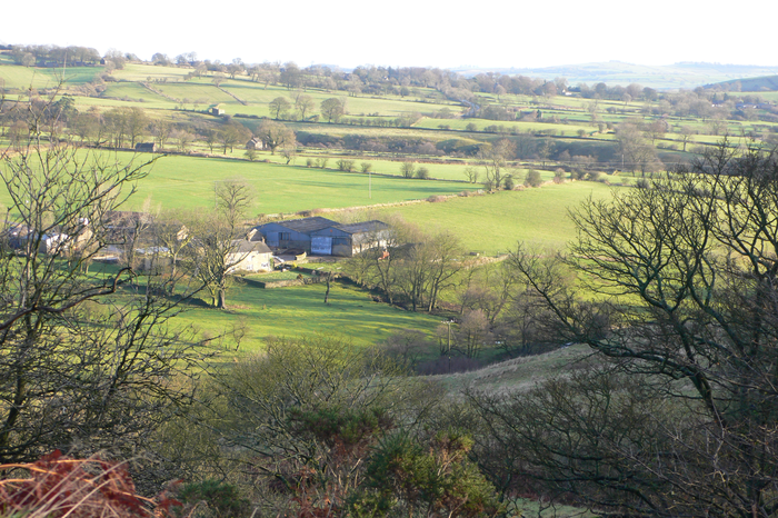 returnimage.cgi/10546/700