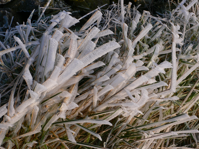 returnimage.cgi/10549/700