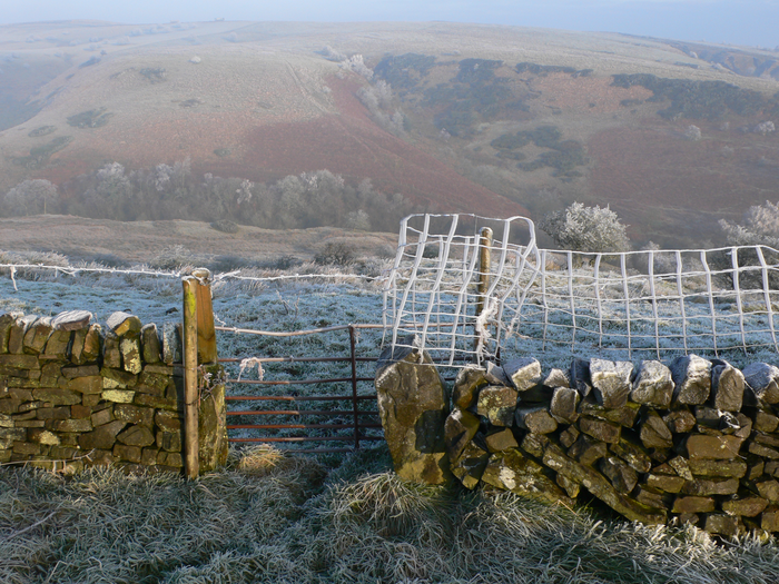 returnimage.cgi/10550/700