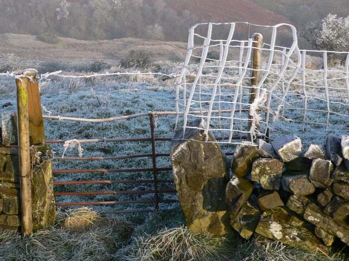 returnimage.cgi/10551/700