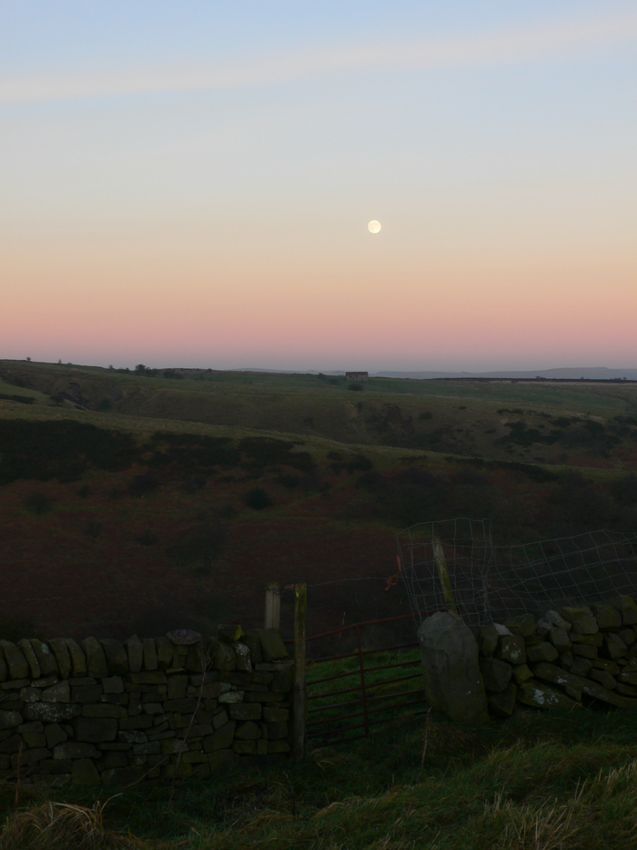 returnimage.cgi/10555/700