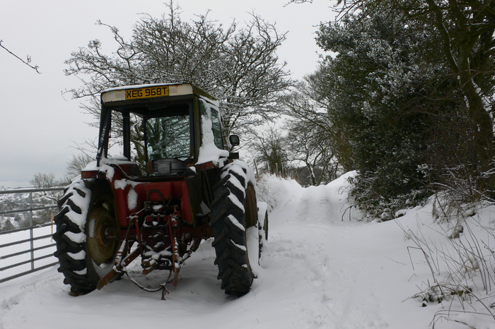 returnimage.cgi/10560/700