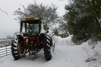 returnimage.cgi/10560/thumbnail