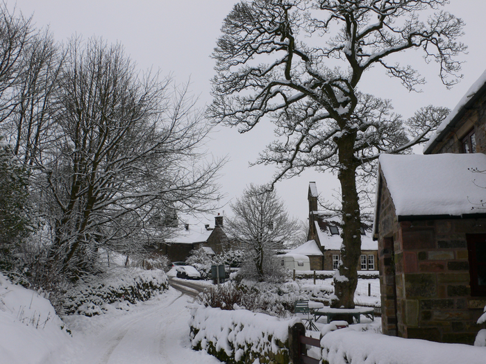 returnimage.cgi/10563/700