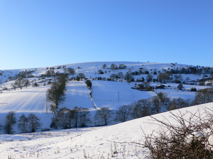 returnimage.cgi/10564/700