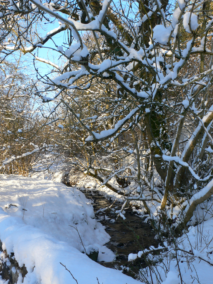 returnimage.cgi/10567/700