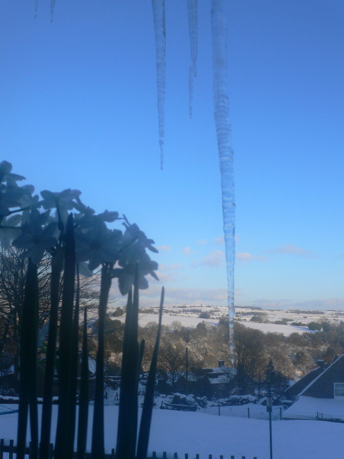 returnimage.cgi/10568/700