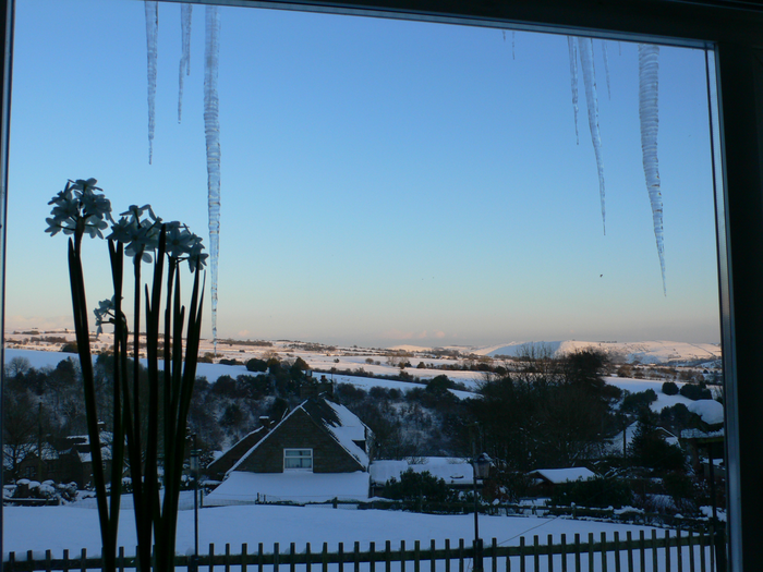 returnimage.cgi/10570/700