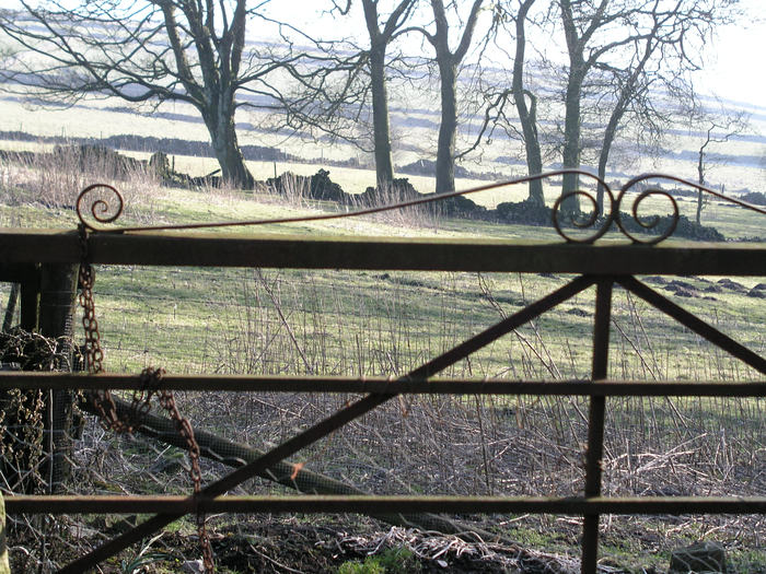 returnimage.cgi/10571/700