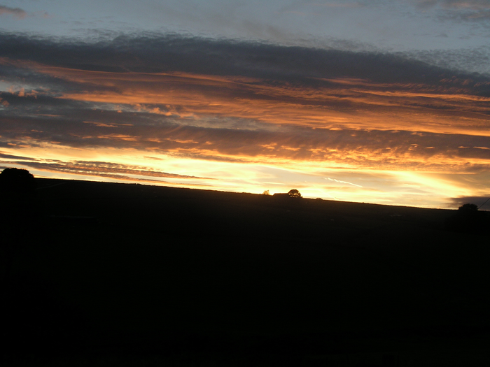 returnimage.cgi/10573/700