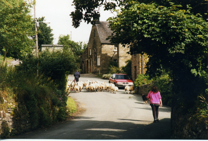 returnimage.cgi/10602/700