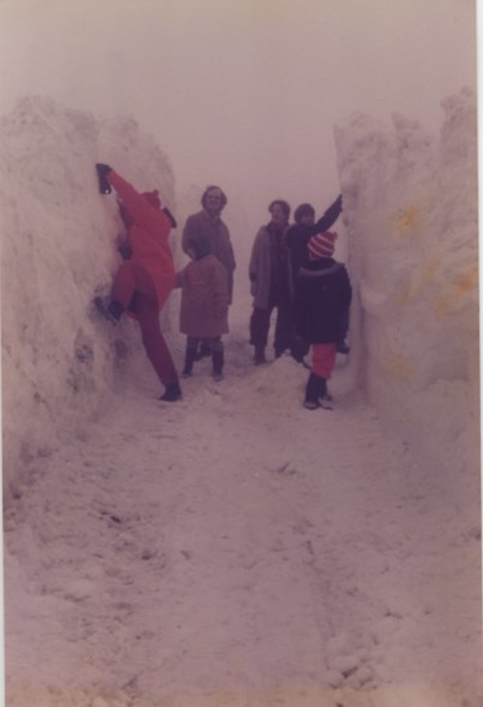 returnimage.cgi/10608/700