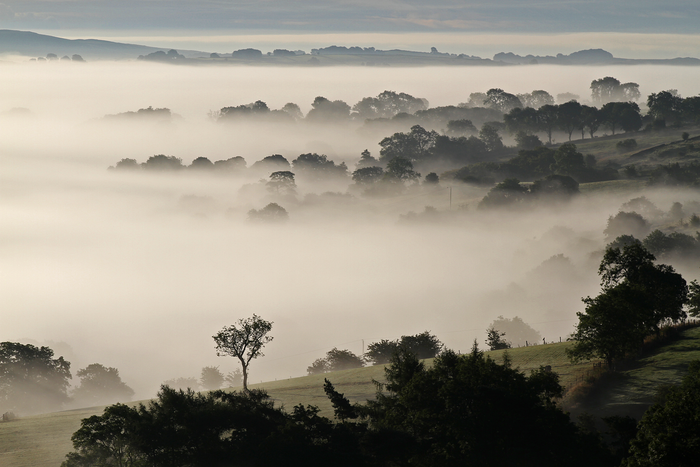 returnimage.cgi/10614/700