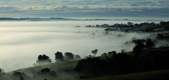 returnimage.cgi/10615/700