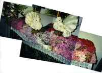 returnimage.cgi/10618/thumbnail