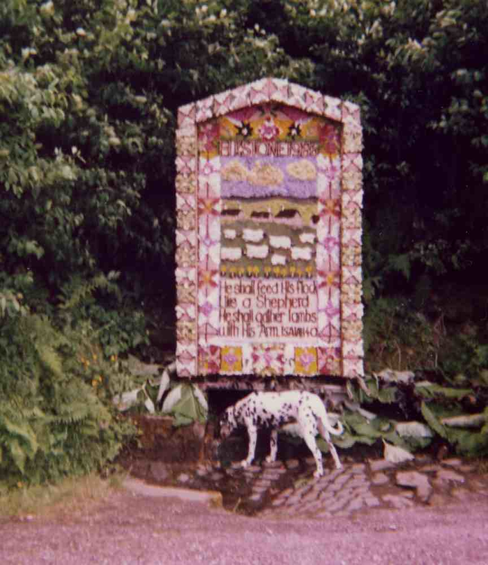 returnimage.cgi/10619/700