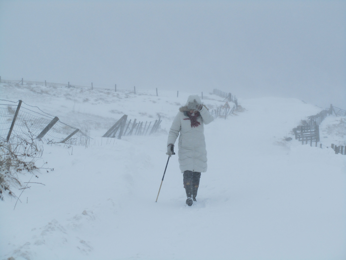 returnimage.cgi/10634/700