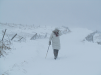 returnimage.cgi/10634/thumbnail