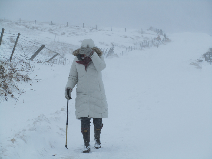 returnimage.cgi/10635/700