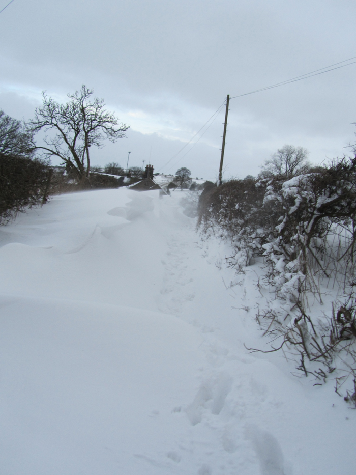 returnimage.cgi/10637/700