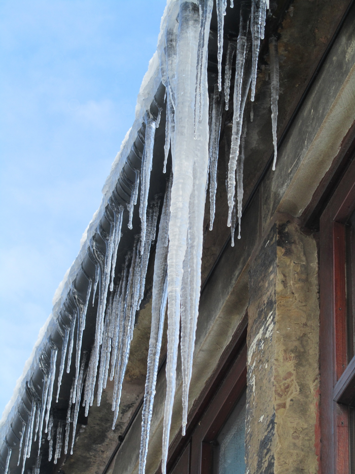 returnimage.cgi/10641/700