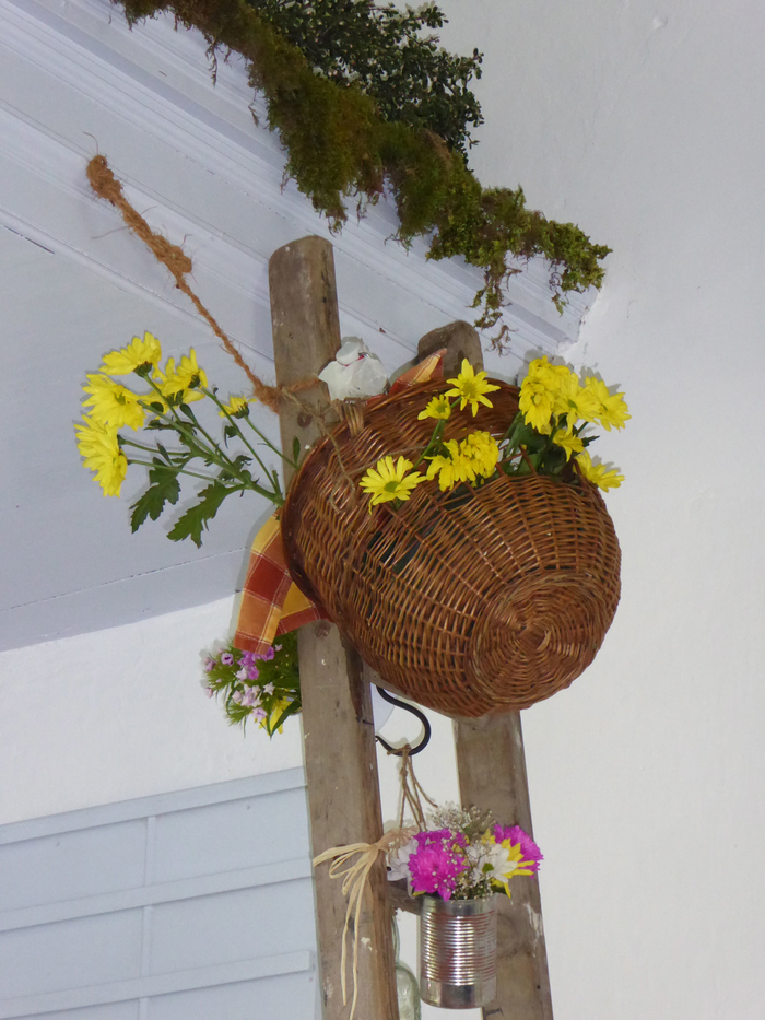 returnimage.cgi/10646/700