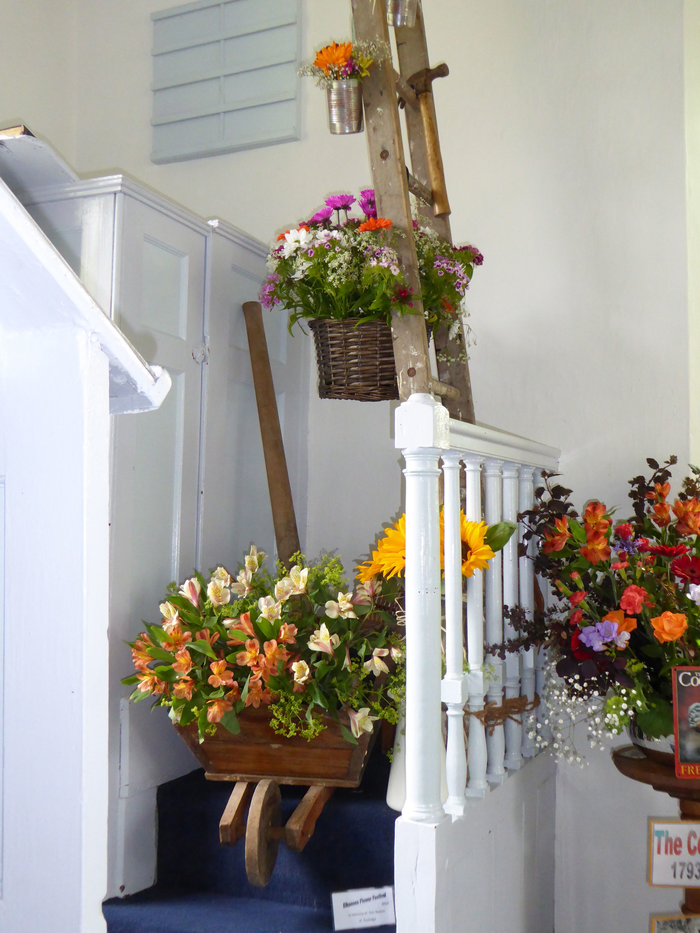 returnimage.cgi/10647/700