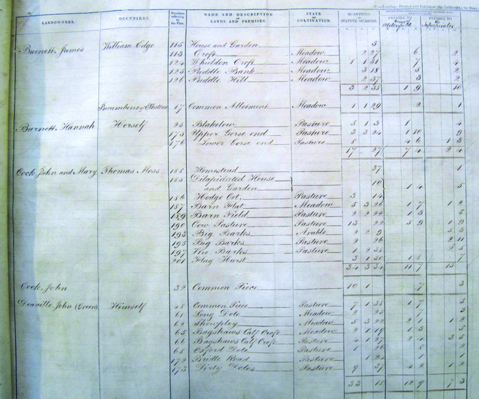 returnimage.cgi/10683/700