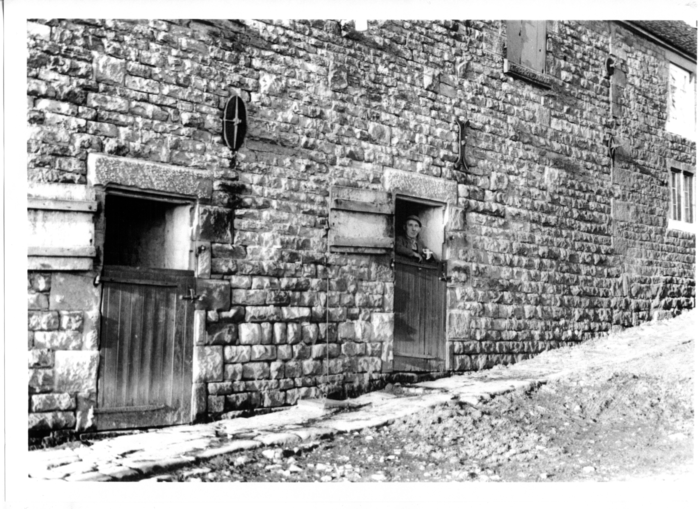 returnimage.cgi/10716/700