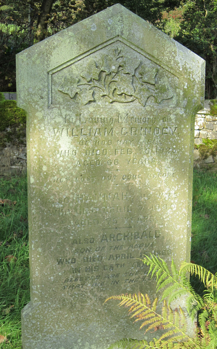 returnimage.cgi/10742/700