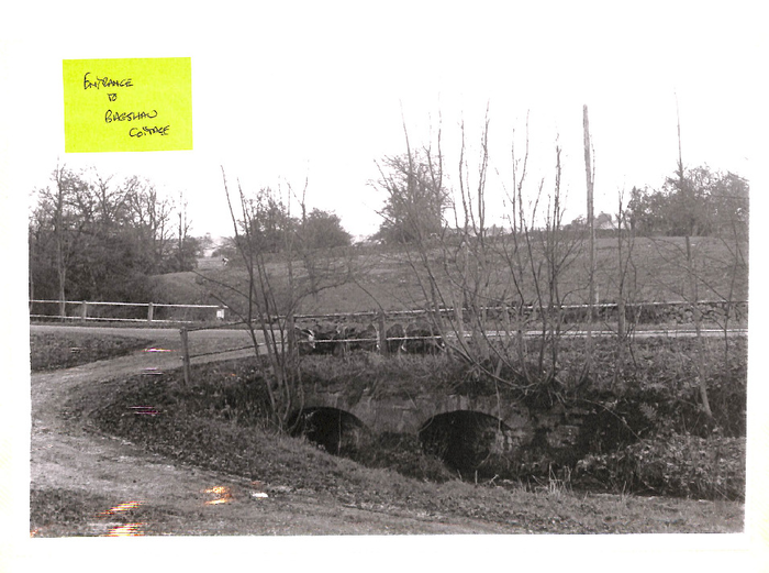 returnimage.cgi/10799/700