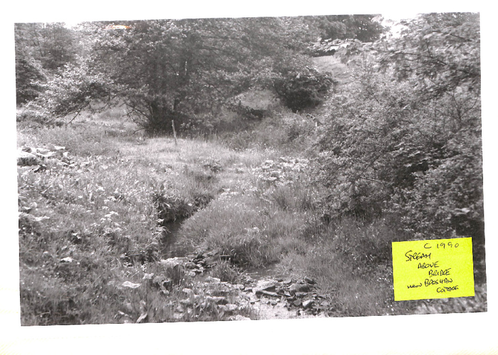 returnimage.cgi/10800/700