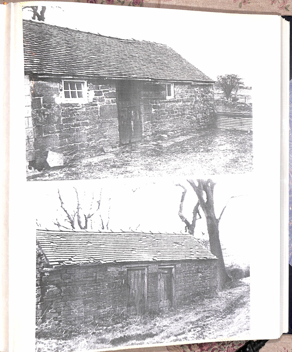 returnimage.cgi/10819/700