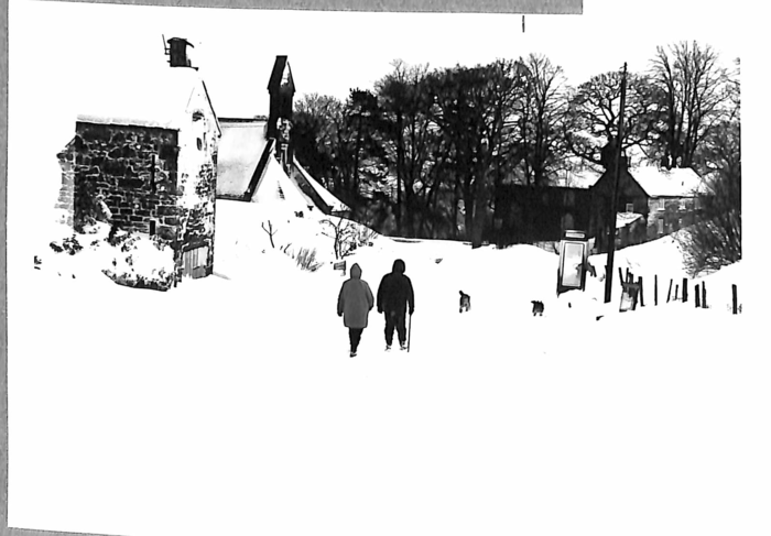 returnimage.cgi/10946/700