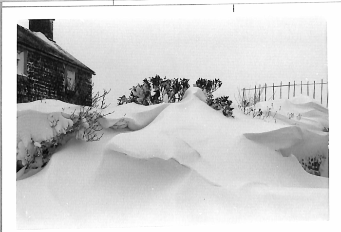 returnimage.cgi/10949/700