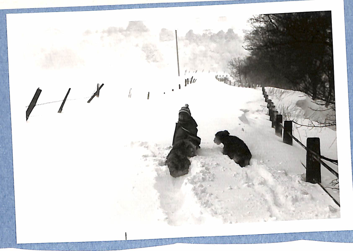 returnimage.cgi/10954/700