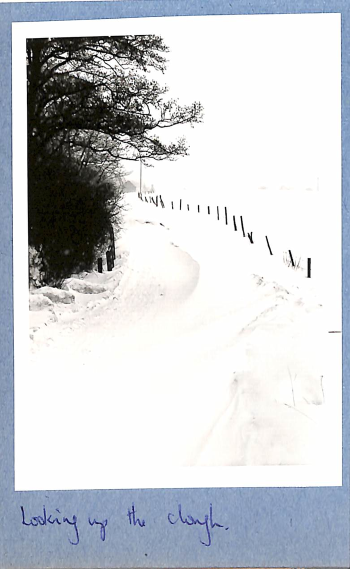 returnimage.cgi/10955/700