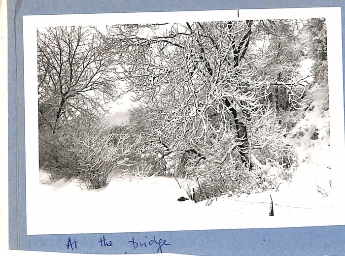 returnimage.cgi/10957/700