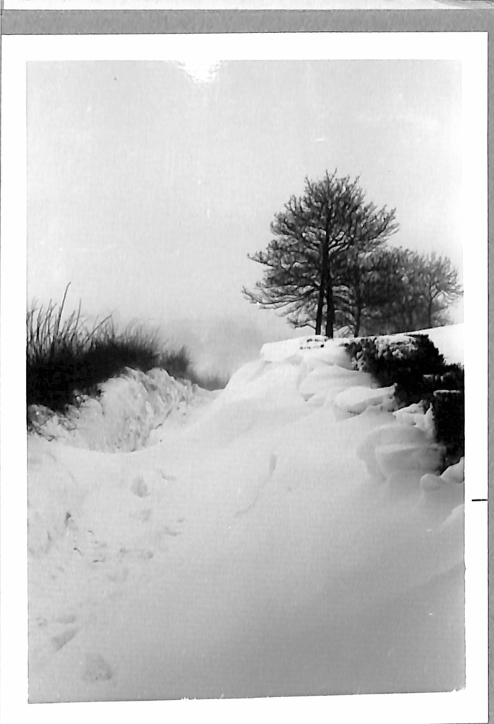 returnimage.cgi/10958/700